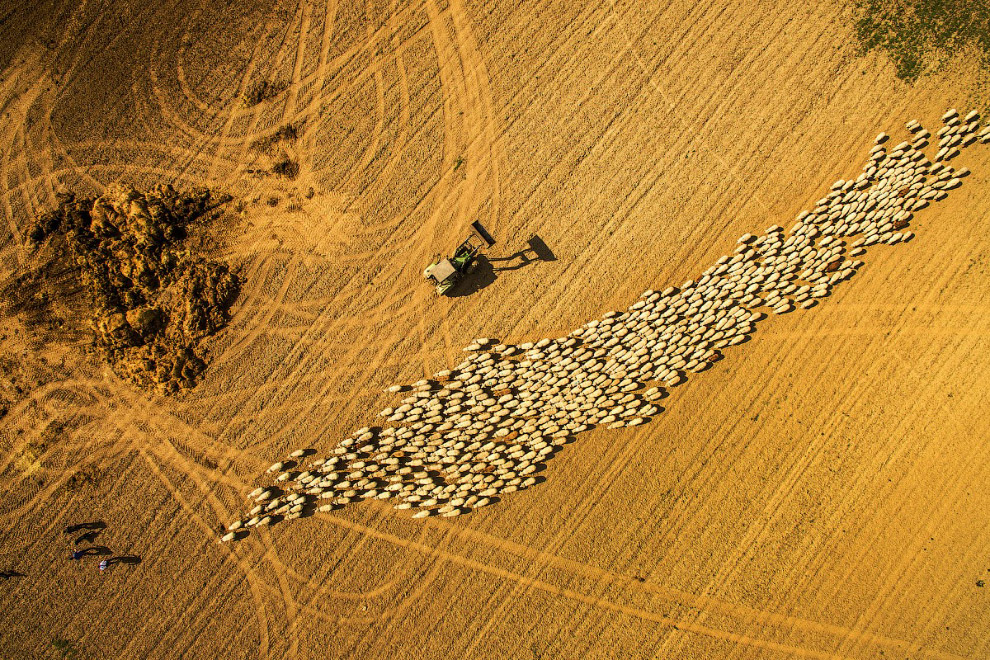 Победители ежегодного фотоконкурса Dronestagram