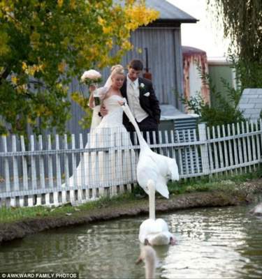 Самые неудачные свадебные снимки. Фото