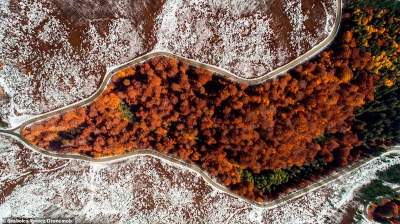 Фотограф показал смену сезонов на одной фотографии. Фото