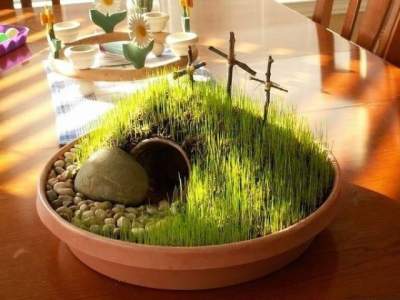 Оригинальные идеи для мини-сада в домашних условиях. Фото