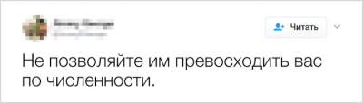 Особенности воспитания детей в смешных и правдивых твитах