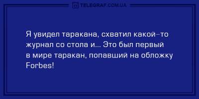 Свежая порция позитива: десятка отличных анекдотов