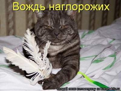 Наглые животные, которым ни капельки не стыдно