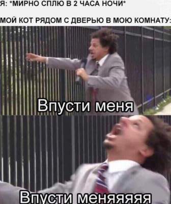 «Впусти меня»: в Сети набирает популярность новый мем