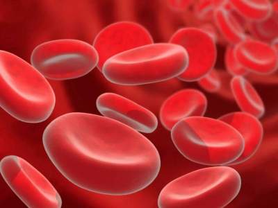 Клетки крови могут помочь в борьбе со старением
