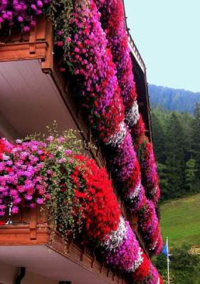 Красивые дома, превращенные в цветущие сады. Фото