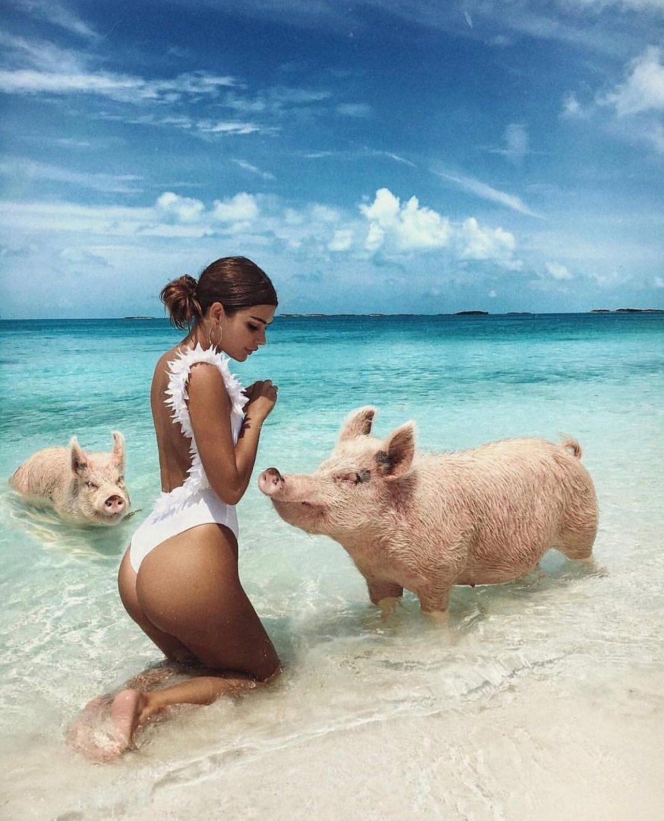 Багамские острова остров свиней