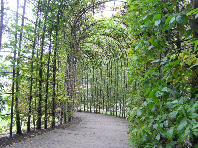 Сад ядовитых растений Альнвика в Англии