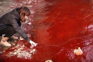 На Донбассе внезапно река окрасилась в цвет крови 