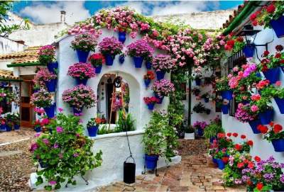Красивые дома, превращенные в цветущие сады. Фото