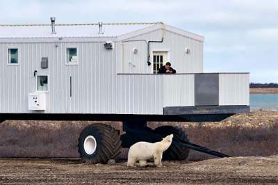 Так выглядит необычный арктический отель на колесах. Фото