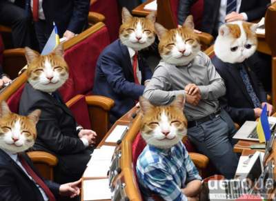 Если бы страной управляли коты: забавные фотожабы