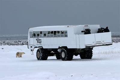 Так выглядит первый арктический отель на колесах. Фото