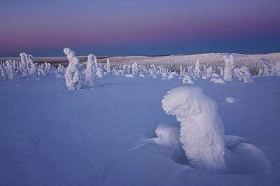 Фотограф показал, как выглядит зима в Финляндии. Фото