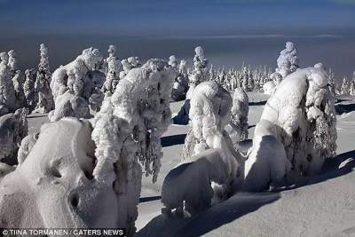 Фотограф показал, как выглядит зима в Финляндии. Фото