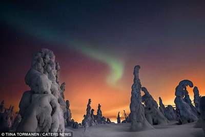 Фотограф показал, как выглядит зима в Финляндии. Фото