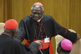 Следующим Папой Римским может стать чернокожий кардинал 