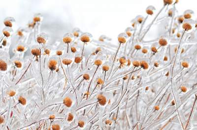 Ледяные пейзажи, демонстрирующие красоту зимы. Фото
