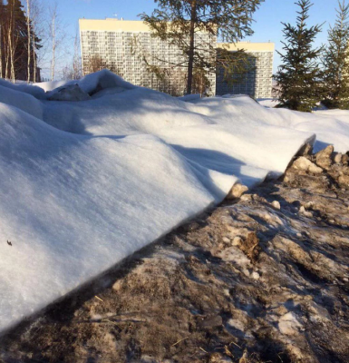Российские коммунальщики отличились попыткой «отбелить» снег