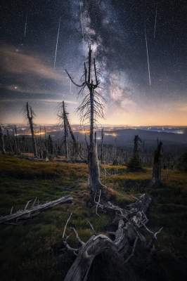 Названы лучшие абстрактные пейзажи года. Фото