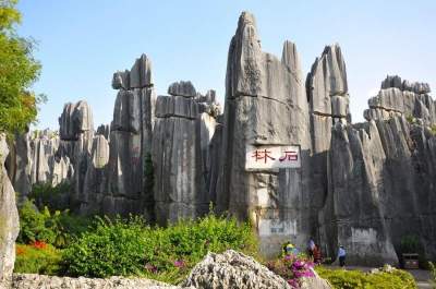 Легендарный каменный лес в Китае. Фото