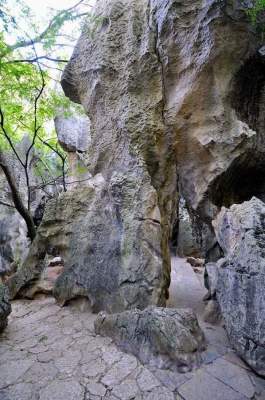 Легендарный каменный лес в Китае. Фото