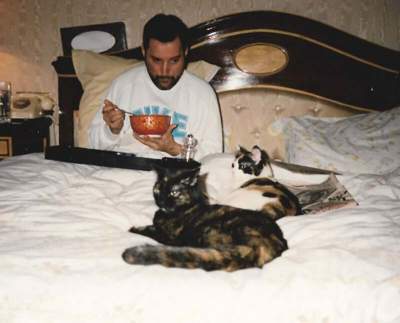 Взаимная любовь: Фредди Меркьюри и его кошки. Фото