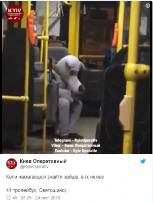 Вместо «зайцев»: в киевском троллейбусе видели волка
