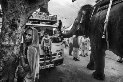 Животные в объективе индийского фотографа. Фото