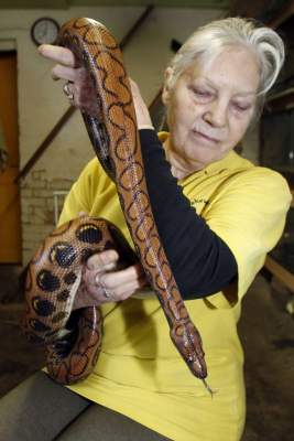 70-летняя британка стала «повелительницей змей». Фото