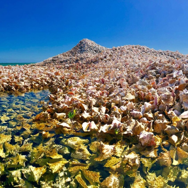 Очень необычный остров в Карибском море