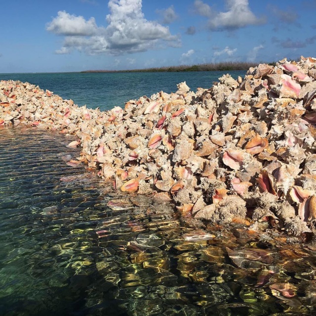 Очень необычный остров в Карибском море