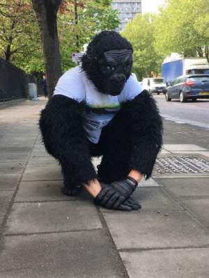 Американец гулял по улицам в костюме гориллы
