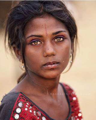 Индийские красавицы в ярких портретах. Фото