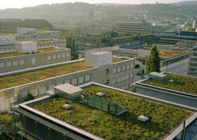 Лучшие примеры садоводства на крышах домов. Фото