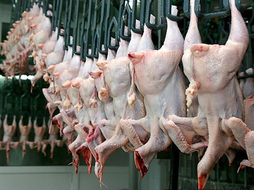 Евросоюз всё же разрешил Украине поставлять продукцию птицеводства в страны ЕС