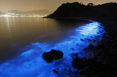 Толпы туристов приезжают посмотреть на светящееся море в Гонконге. Фото