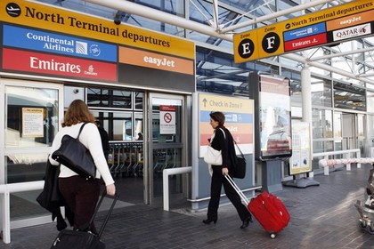 В лондонском аэропорту конфисковали 94 килограмма сушеных гусениц