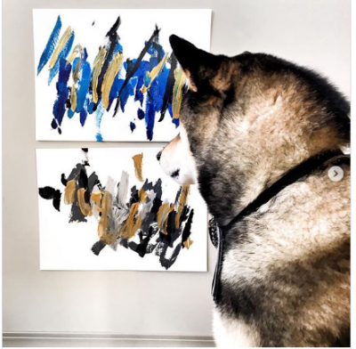 Собака-художница приносит хозяевам тысячи долларов 