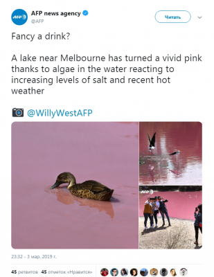 В Мельбурне озеро окрасилось в розовый цвет. Фото
