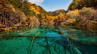 Места, которые туристы посещают ради прозрачных водоемов. Фото