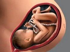 Ученые объяснили, почему беременным нельзя нервничать