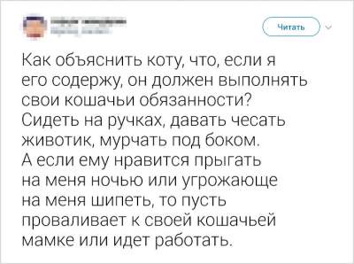 Прикольные твиты от людей, умеющих говорить правду с юмором 