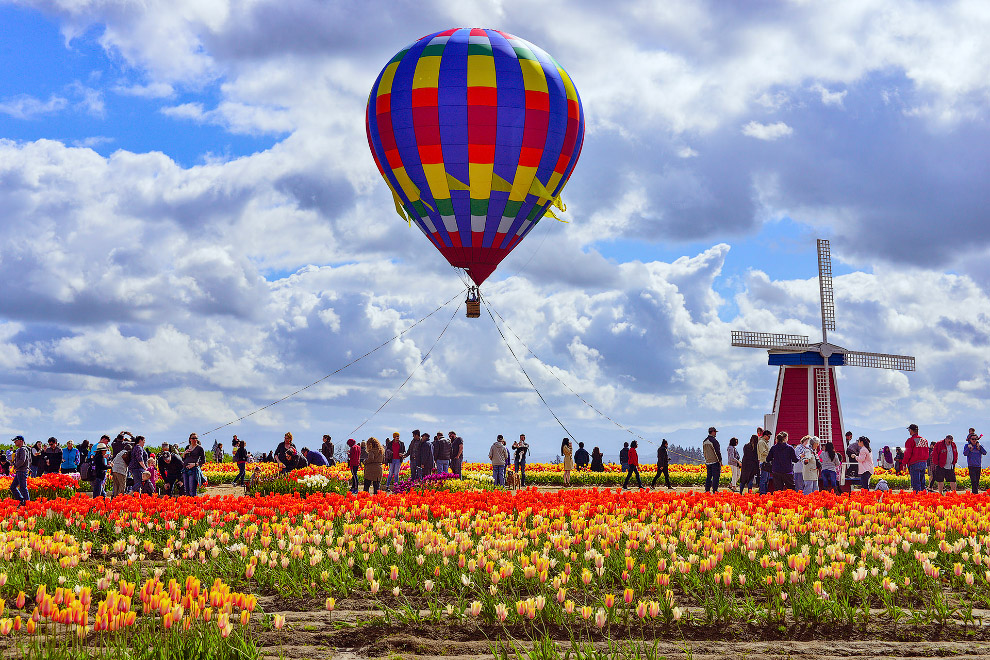 В Орегоне стартовал фестиваль тюльпанов 