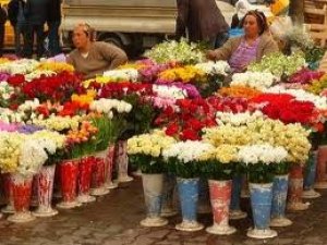 Миндоходов предупредило торговцев, что нет оснований повышать цены на цветы