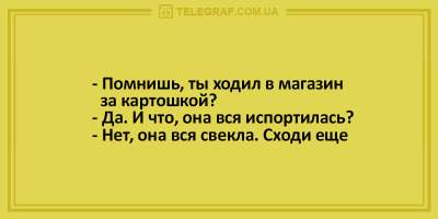 Веселые анекдоты поднимут вам настроение весенним утром