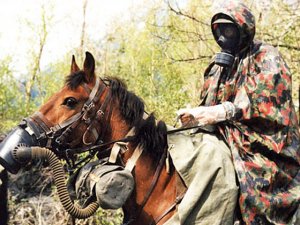 Россия решила ликвидировать противогазы для лошадей