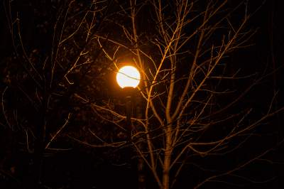 Как выглядит перед рассветом Соломенский парк. Фото