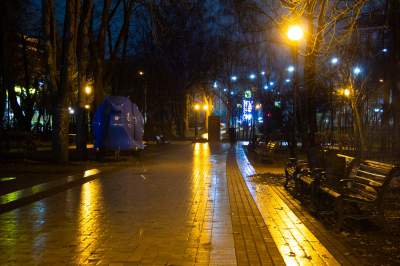 Как выглядит перед рассветом Соломенский парк. Фото