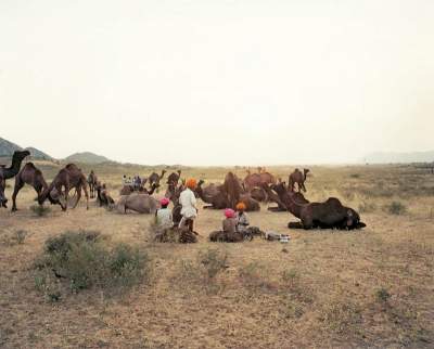 Фотограф показал, как живется цыганам в разных странах. Фото